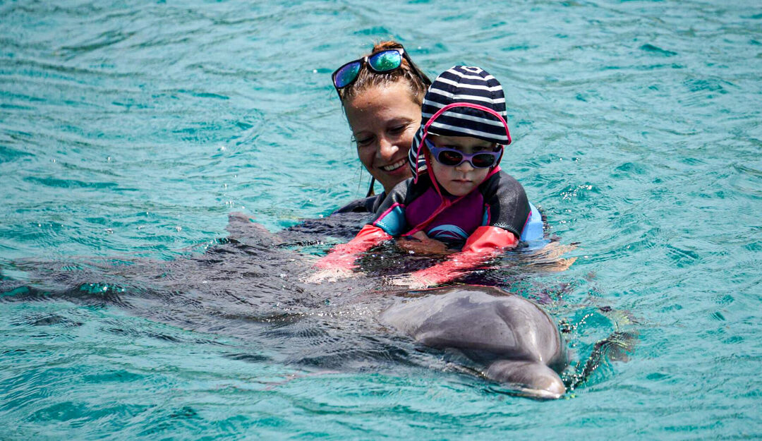 Sarah beim Delfin im Wasser