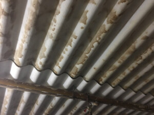 Das Dach ist stark undicht und daher überall verschimmelt Das Dach ist stark undicht und daher überall verschimmelt