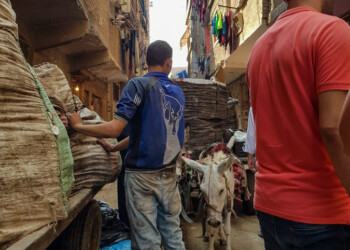 Müllarbeiter mit seinem Eselkarren beim Mülltransport Auf dem Weg zur Schule
