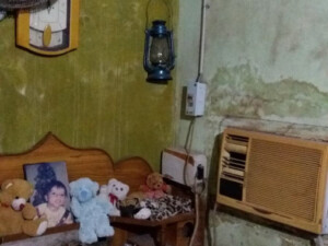 Ein Zimmer mit komplett verschimmelten Wänden Ein Zimmer mit komplett verschimmelten Wänden