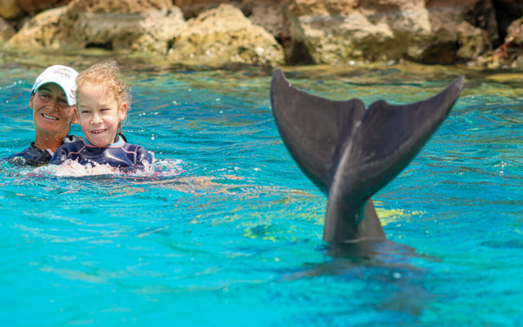Der Delfin streckt Sarah seine Flosse aus dem Wasser